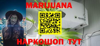 прущие крисы Гай