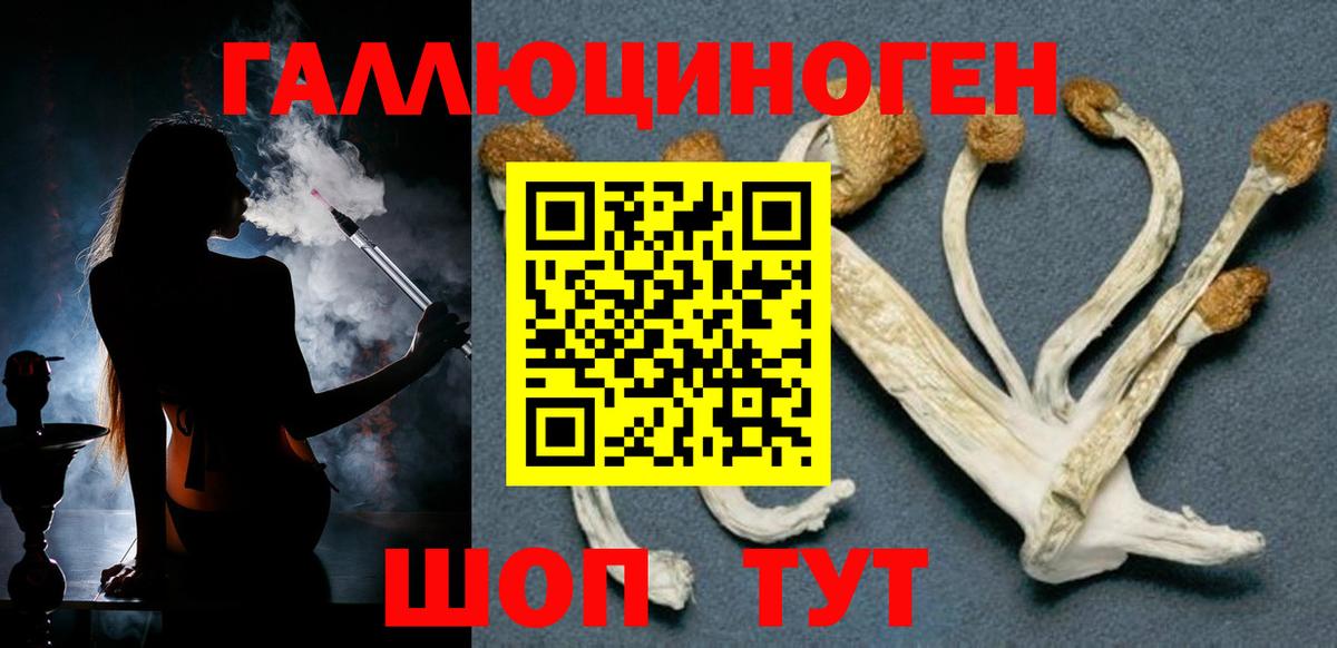 Можайск  Псилоцибиновые грибы Cubensis  Вход с VPN 